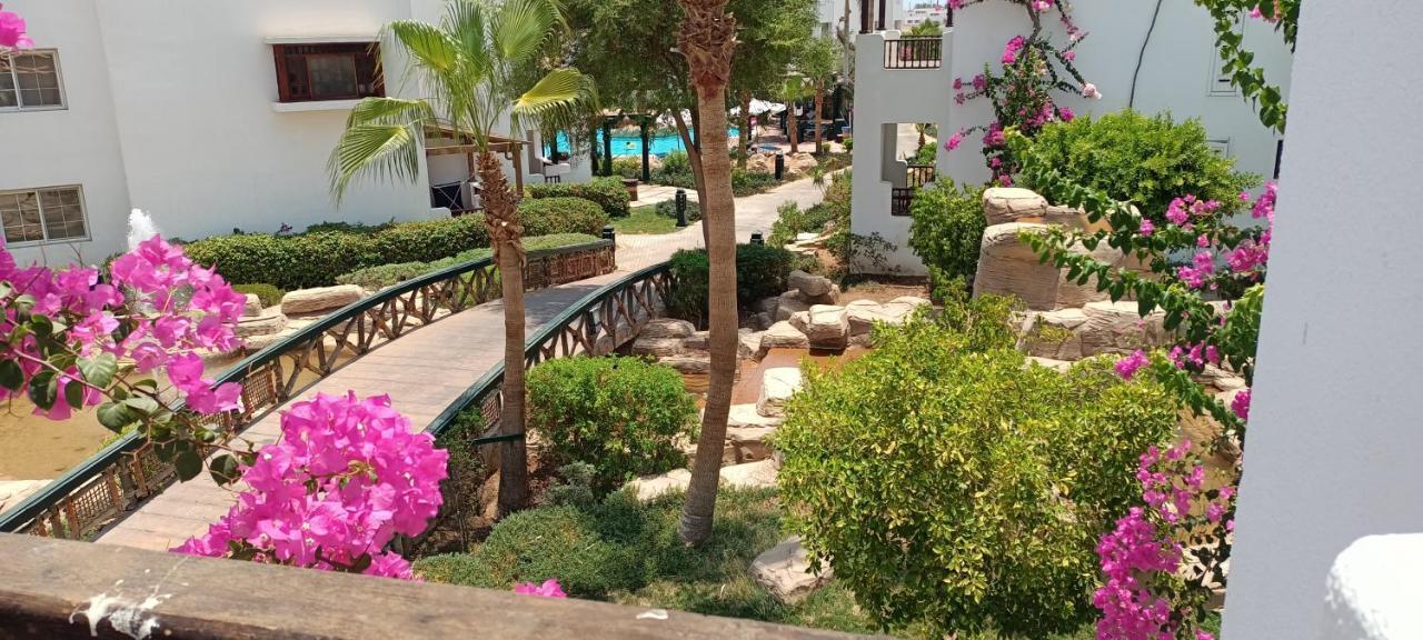 Deluxe Apartment Delta Sharm Eksteriør billede